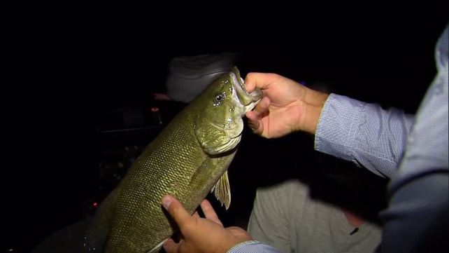 Fishing from Dusk to Dawn