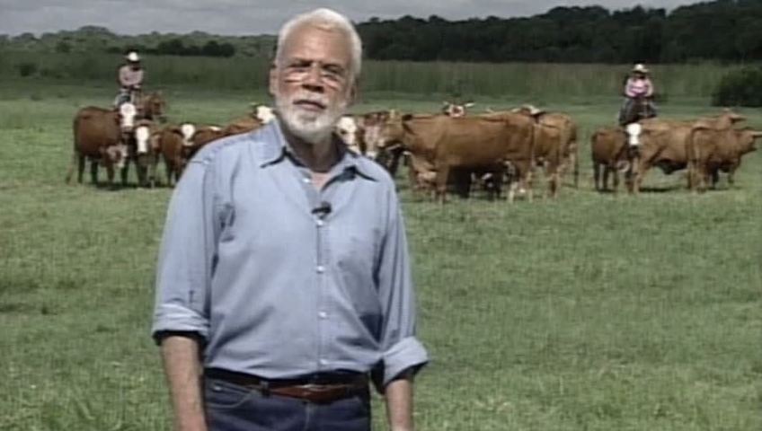 Simple Pleasures Mediterranean Foods In The Americas Burt Wolf What We Eat